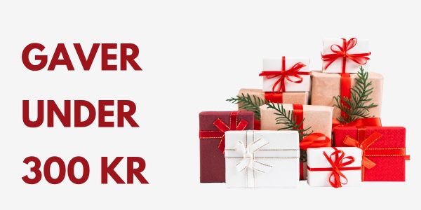 Gave under kr. 300 Gave under kr. 300